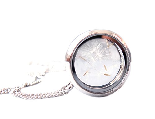 Ladyville Halskette Pusteblume im Medaillon aus Edelstahl Glücksbringer Geschenk für Frauen von Ladyville