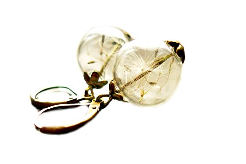 Ladyville Ohrringe - Echte Pusteblume in Glaskugel Ladyville Ohrringe - Echte Pusteblume in Glaskugel von Ladyville