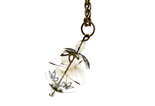 Ladyville Kette mit Anhänger - Echte Pusteblumen in Glaskugel - Pusteblume von Ladyville
