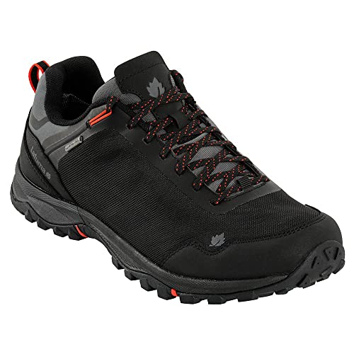 Lafuma Herren Access Clim M Walking-Schuh, Black Noir, 39 1/3 EU von Lafuma