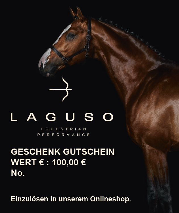 Geschenkgutschein 100,00 € Geschenkgutschein 100,00 € von Laguso