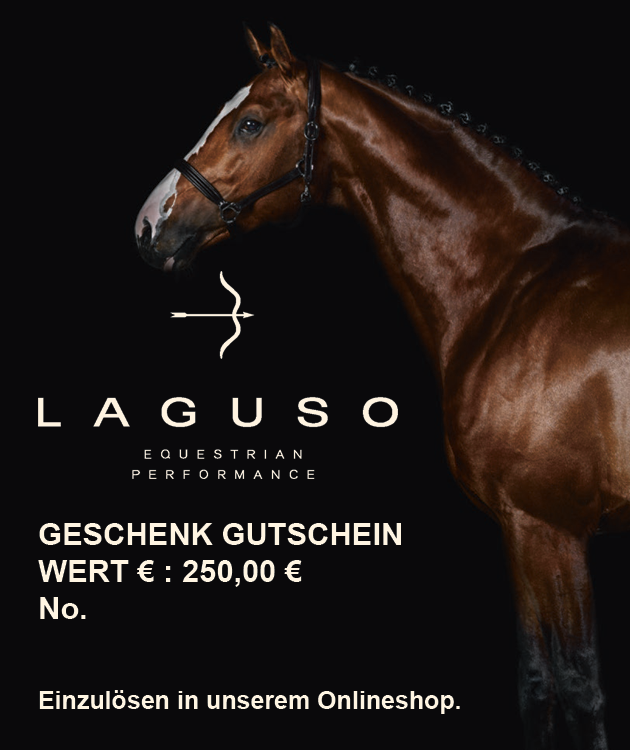 Geschenkgutschein 250,00 € Geschenkgutschein 250,00 € von Laguso