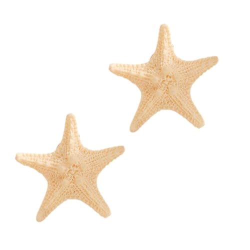 1pair Sterngeformte Haarclip Thema Haarzubehör Für Frauen Mädchen Harz Haarnadeln Mit Metallverschluss Haarnadel von Laikoutd