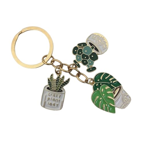 Laikoutd Sukkulente Topfschlüsselkette Für Frauen Mädchen Modische Blumenautos Schlüsselkettenbeutel Hängende Schmuck Schmucktasche Accessoires Accessoires von Laikoutd