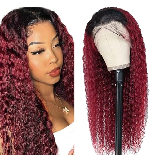 Lakaisa HD Lace Wig Human Hair Glueless Wig Wear and Go Perücke Echthaar Damen Deep Wave Wig Grade 8 A 100% Brazilian Remy Hair 13X1 Lace Frontal Wig 1B/99J Red Ombre Color 20 Zoll von Lakaisa