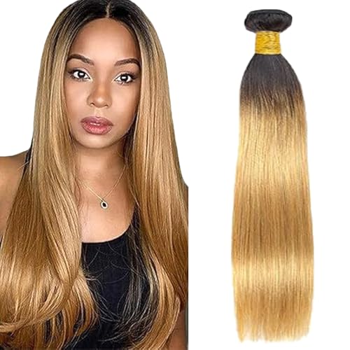 Lakaisa Straight Human Hair Bundles 100% Unprocessed Brazilian Remy Hair 1B27 Blonde Ombre Real Hair Echthaar Tressen Extensions Sew in Hair 1 Bundle for Woman 30 Zoll von Lakaisa