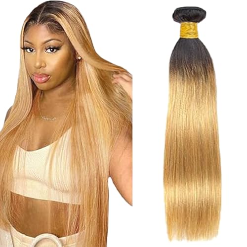 Lakaisa Straight Human Hair Bundles 100% Unprocessed Brazilian Remy Hair 1B27 Blonde Ombre Real Hair Echthaar Tressen Extensions Sew in Hair 1 Bundle for Woman 32 Zoll von Lakaisa