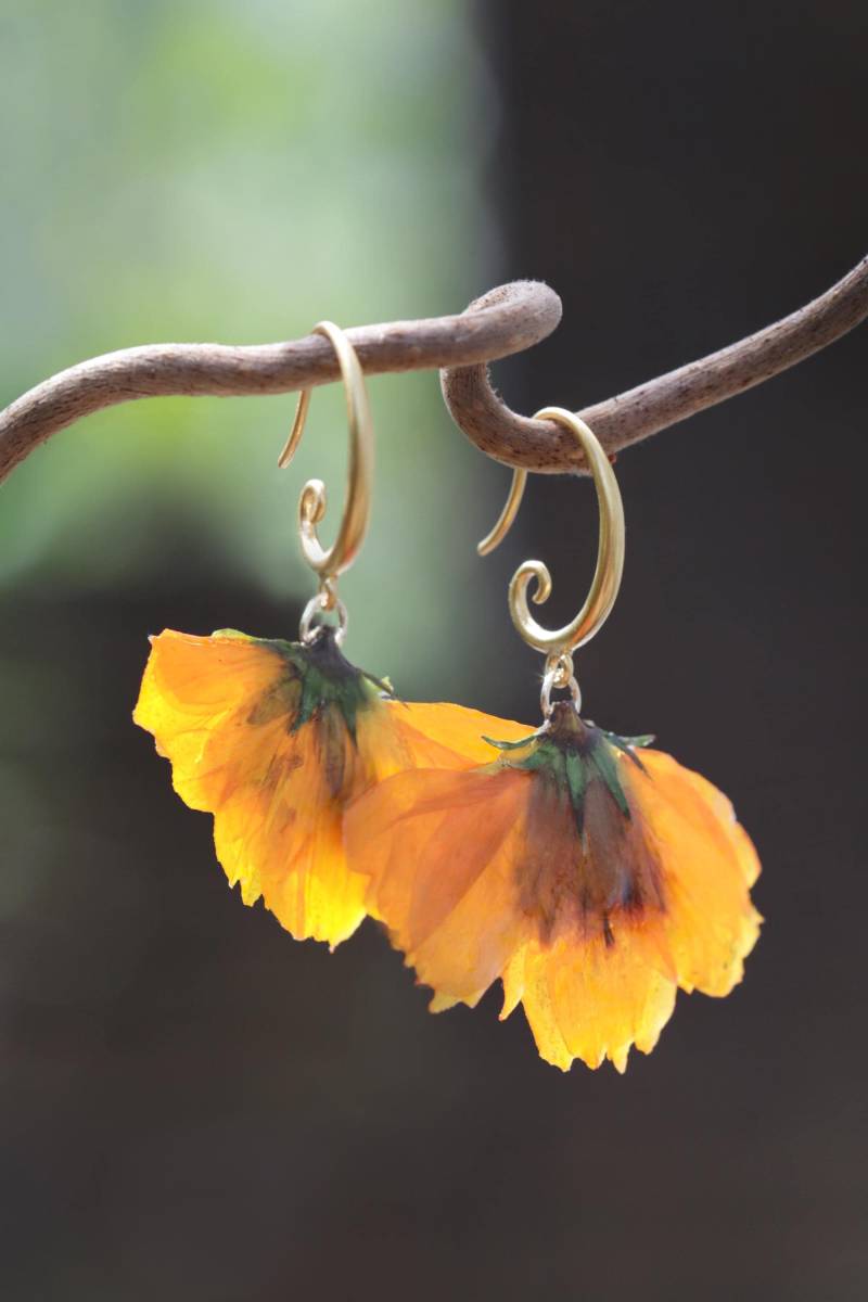 Gelbe Mohnblume Creolen - Echte Blume in Harz Ohrringe von LakooDesigns