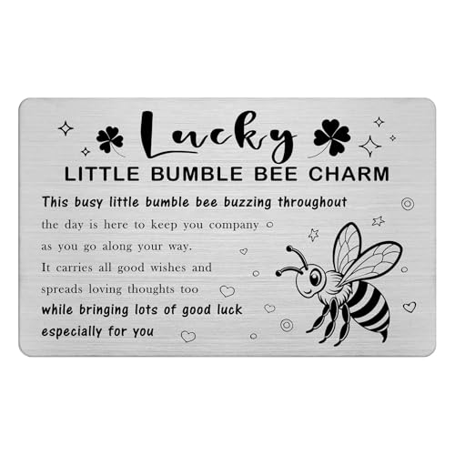 Laluminter Lucky Little Bumble Bee Charm Edelstahl Geldbörse Karteneinsätze – Hummel Glücksbringer – ganzjährig positiver Energiebegleiter – inspirierende Weihnachts- und Geburtstagsgeschenke, silber von Laluminter
