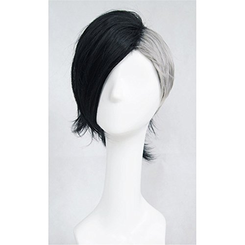 LanTing Cosplay Perücke Tokyo Ghoul Uta Perücke Corta gray black mix Cosplay Party Fashion Anime Human Costume Full wigs Synthetic Haar Heat Resistant Fiber von LanTing