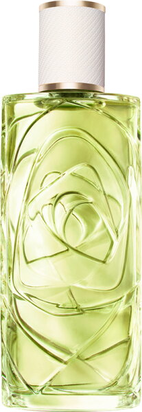 Lancôme ÔFF NOW Eau de Toilette (EdT) 100 ml von Lancôme
