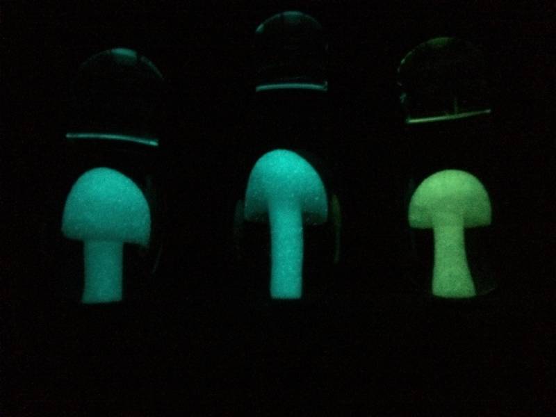 Glow in The Dark Pilz Glas Anhänger Halskette Glow in The Dark Pilz Glas Anhänger Halskette von LandOfTheSkyGlass