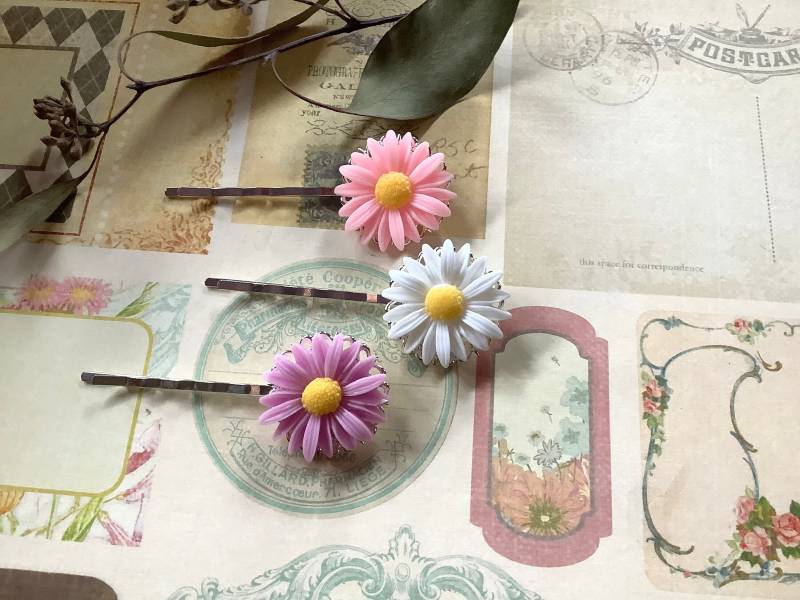 Haarspangen-Blumen Spangen-Gänseblümchen Spangen-Pink-Weiß-Gänseblümchen-Messing Haar Spangen von LaneyLou123