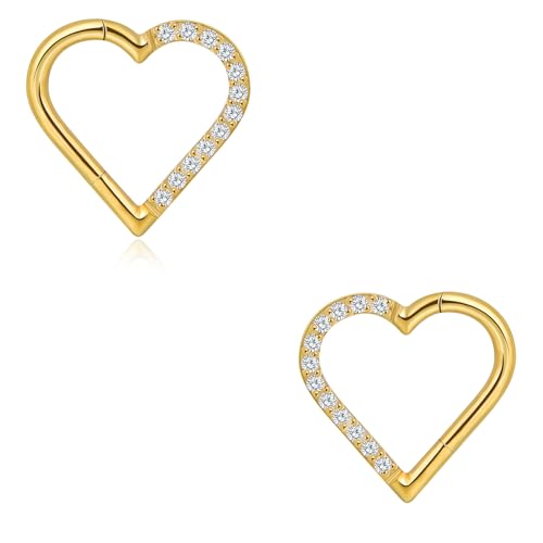 2 Stück Daith Piercing G23 Titan + CZ 16G Herz Scharnier Nahtlose Clicker Ring Tragus Rook Knorpel Ohrringe Damen 8mm von Lantine