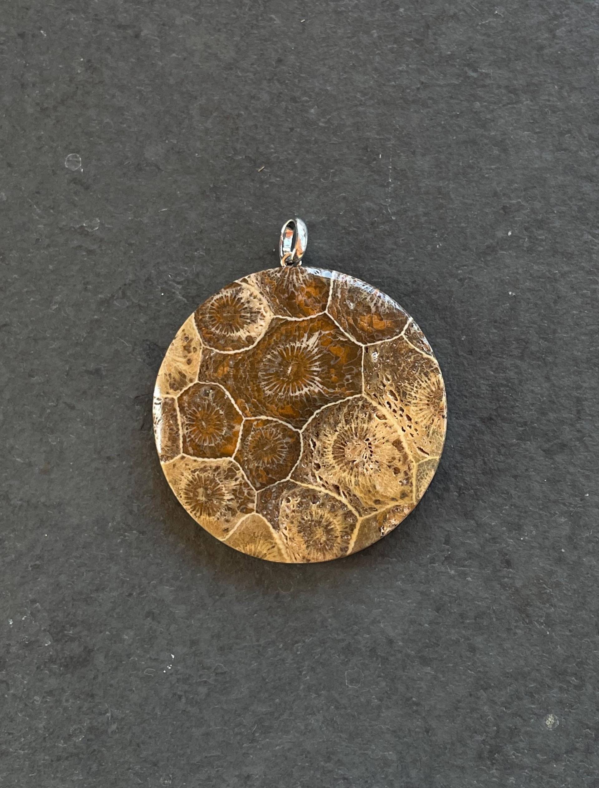 Fossile Koralle Aus Der Sahara, Marokko Fossile Koralle Aus Der Sahara, Marokko von LapidariumWierer