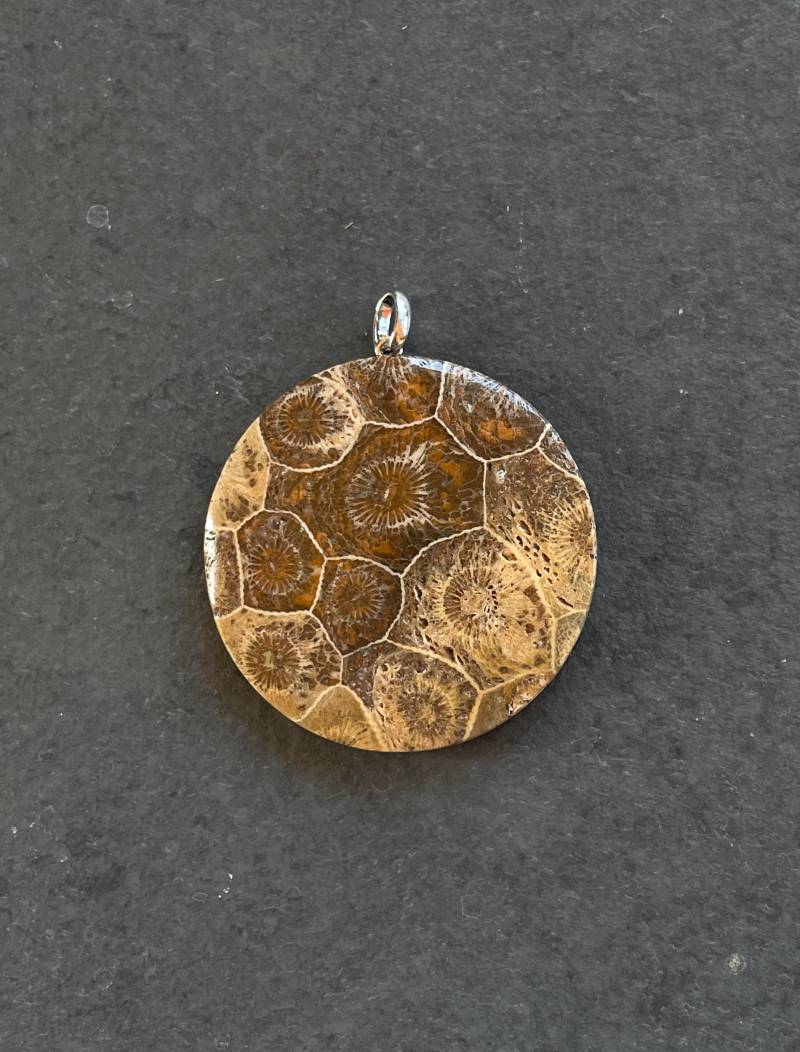 Fossile Koralle Aus Der Sahara, Marokko Fossile Koralle Aus Der Sahara, Marokko von LapidariumWierer