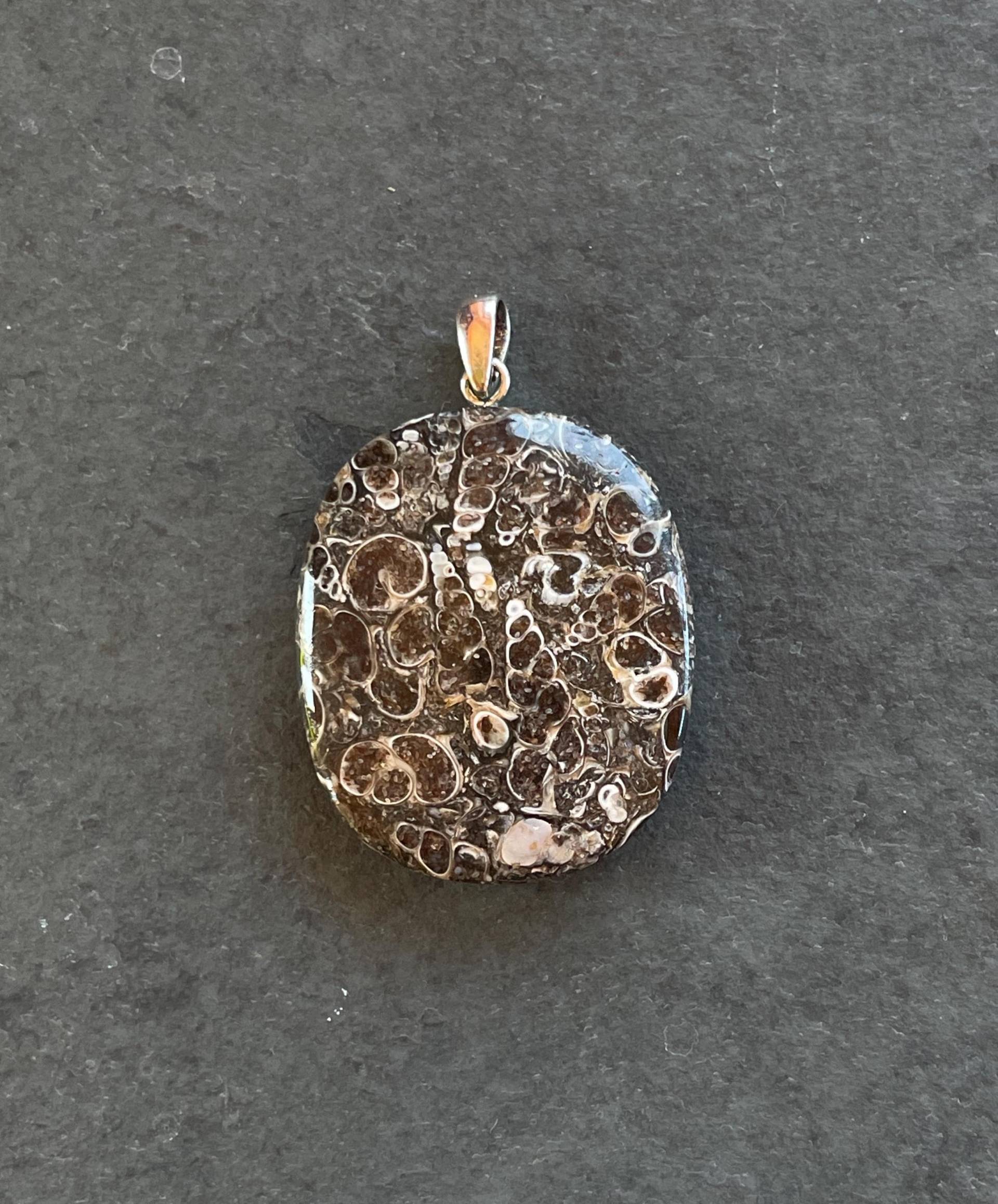 Fossile Turmschnecken("Turritellenjaspis" Anhänger | Handgeschliffen, Unikat 925 Silberöse Cabochon Aus Wyoming, Usa Naturstein Kette Fossile Turmschnecken("Turritellenjaspis" Anhänger | Handgeschliffen, Unikat 925 Silberöse Cabochon Aus Wyoming, Usa Naturstein Kette von LapidariumWierer