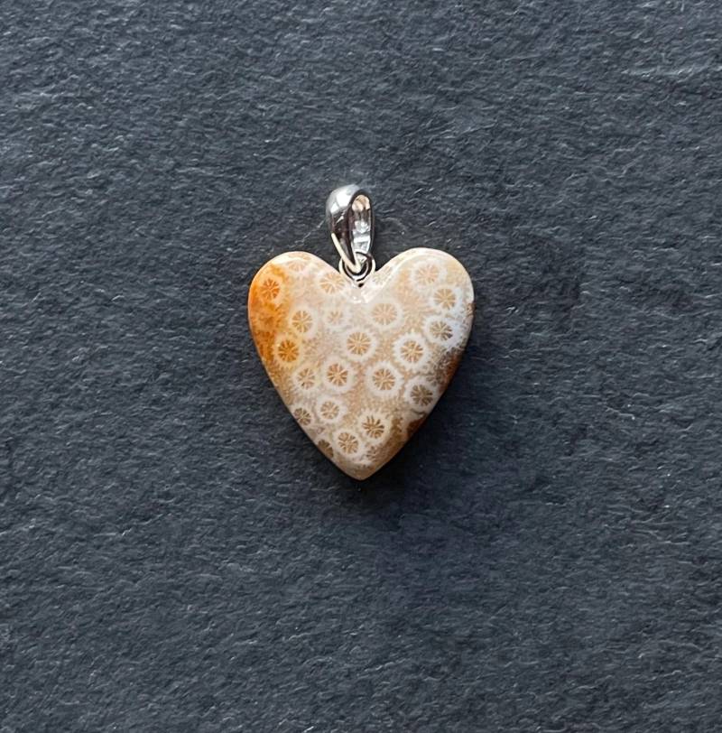 Miniherz Fossile Koralle Aus Sumatra von LapidariumWierer