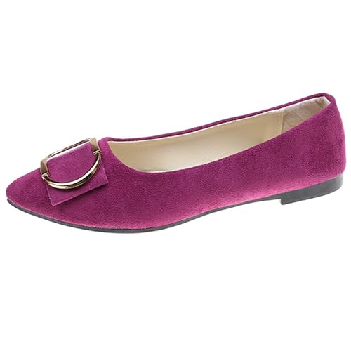 LarDorLin Driving Flats Damen Spitzschuh Walking Dolly Schuhe Bequeme Slip-On Wildleder Ballerina Loafer für den Alltag und die Arbeit Grape-Violett Gr 35 EU von LarDorLin