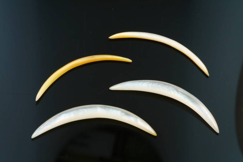 Völker Schmuck - Perlmutt Septum Stoßzähne Preis Pro Stück von LaughingBuddhaStudio