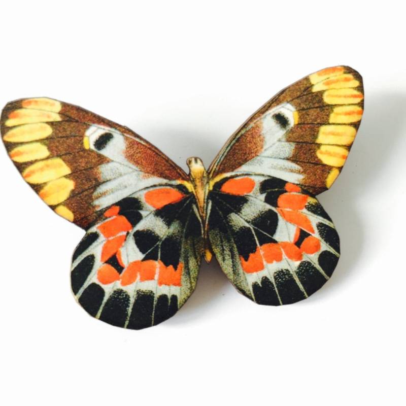 Gelb Braun Schwarz Motte Schmetterling Wald Holz Brosche Geburtstag Geschenk Natur Tierwelt Insekt Einzigartig Für Ihre Schmetterlinge von LaviniasTeaParty