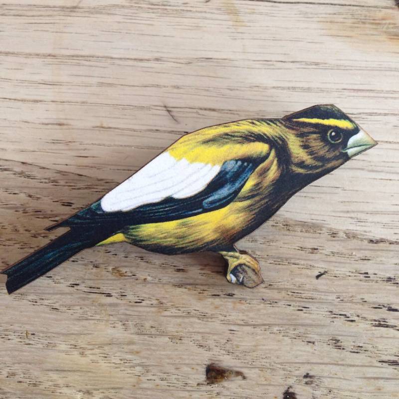 Gelb Und Schwarz Vogelbeobachter Holz Brosche Pin Fliegen Vögel Wald Geschenk Beobachter Wildlife Natur Geburtstag Für Sie Kleines Weihnachten von LaviniasTeaParty