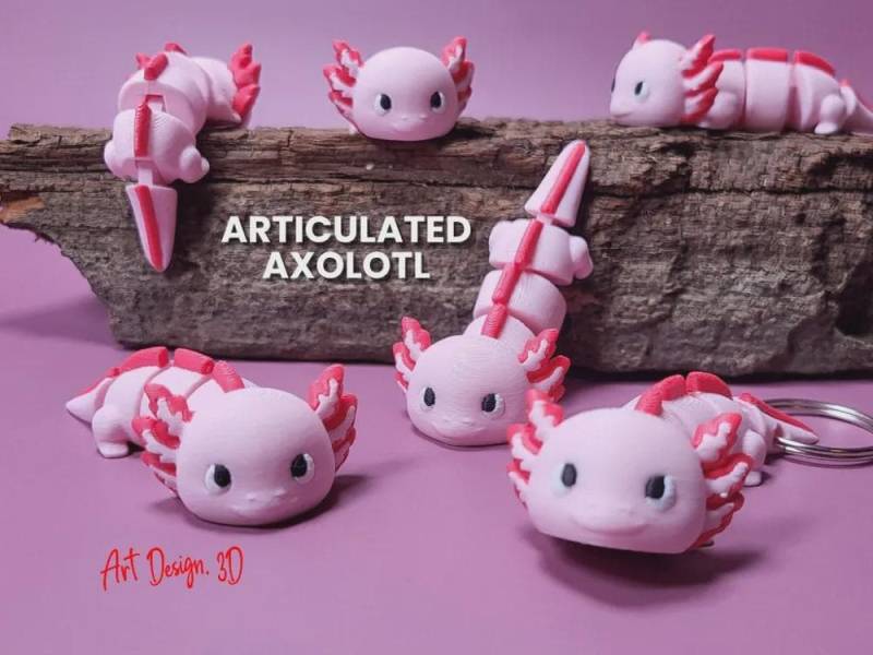 Articulated Axolotl Toy - 3D Printed Cute Pink Fidget Keychain Gift Articulated Axolotl Toy - 3D Printed Cute Pink Fidget Keychain Gift von LayerWise