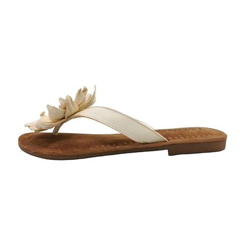 Lazamani LA33734 Damen Pantolette bis 30mm Absatz, Größe 39 von Lazamani