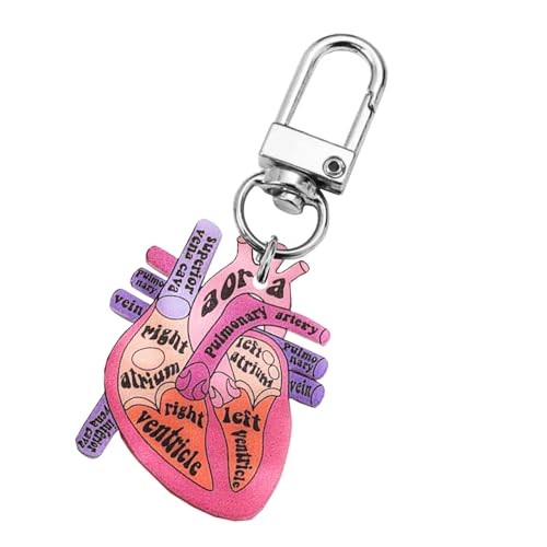 Ldabrye Herz Anatomie Schlüsselbund Orament Educational Heart Keychain Charme Mit Menschlicher Anatomie Für Wissenschaftsliebhaber von Ldabrye