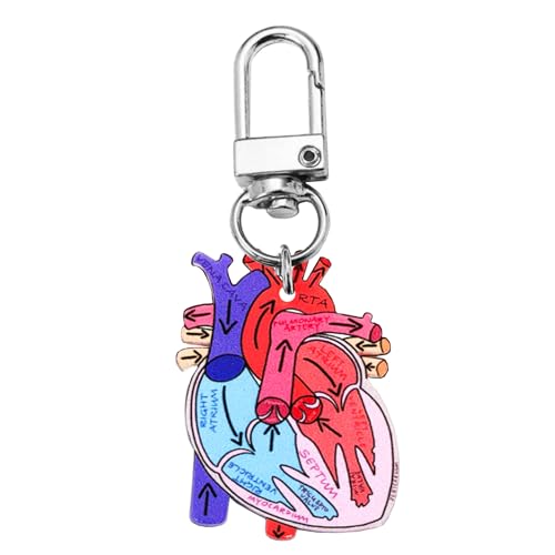 Ldabrye Herz Anatomie Schlüsselbund Orament Educational Heart Keychain Charme Mit Menschlicher Anatomie Für Wissenschaftsliebhaber Ldabrye Herz Anatomie Schlüsselbund Orament Educational Heart Keychain Charme Mit Menschlicher Anatomie Für Wissenschaftsliebhaber von Ldabrye