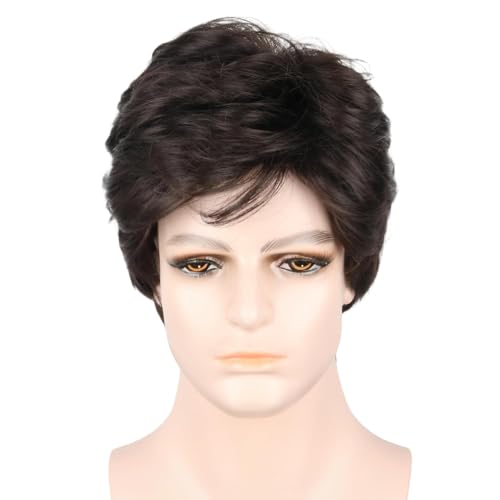 LeMarnia Braun Short Puffy Herren Perücke Halloween Kostüm Perücke von LeMarnia
