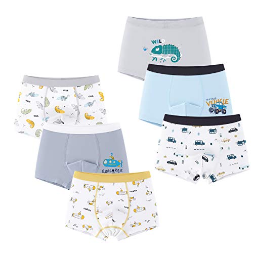 LeQeZe Jungen Boxershorts Unterhosen Baumwolle 6er Pack Kinder Unterwäsche 146-152 von LeQeZe