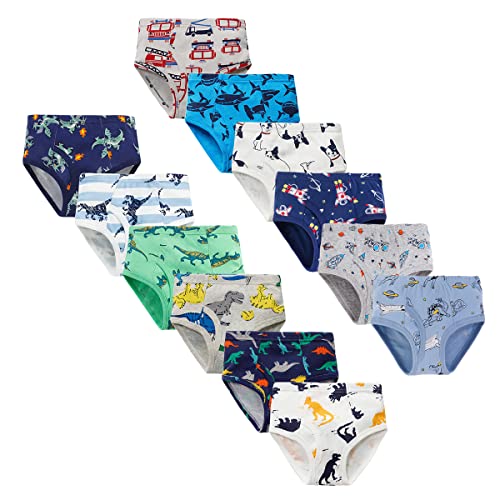 LeQeZe Jungen Unterhosen Slips aus 100% Baumwolle Kinder Unterwäsche 12er-Pack 2-3 Jahre (Boys Briefs 01,Etikett 100) von LeQeZe