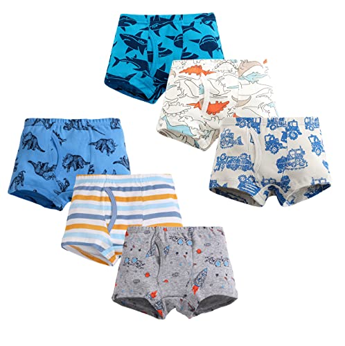 LeQeZe Kinder Jungen Unterhosen 6er-Pack Boxershorts Baumwolle Größe 104-110 (Boys Dinosaur Mix 6,Manufacturer Size:110) von LeQeZe