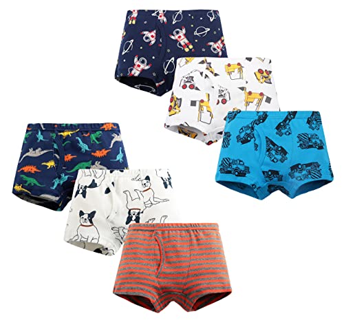 LeQeZe Kinder Jungen Unterhosen 6er-Pack Boxershorts Baumwolle Größe 116 (Boys Dinosaur Mix 5,Manufacturer Size:120) von LeQeZe