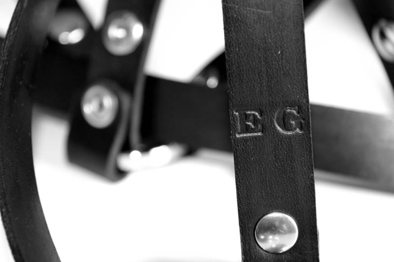 Anpassung Anpassung von Leatherinparis