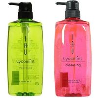 LebeL - IAU Lycomint Cleansing Normal - 600ml LebeL - IAU Lycomint Cleansing Normal - 600ml von LebeL