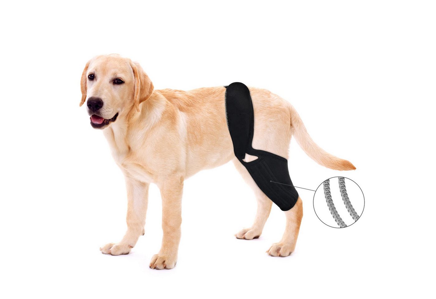 Ledander Stützbandage Kniebandage für Hunde, ACL mit seitlichen Stabilisatoren, Kniekappenluxation, Arthritis – hält das Gelenk warm und stabil Ledander Stützbandage Kniebandage für Hunde, ACL mit seitlichen Stabilisatoren, Kniekappenluxation, Arthritis – hält das Gelenk warm und stabil von Ledander