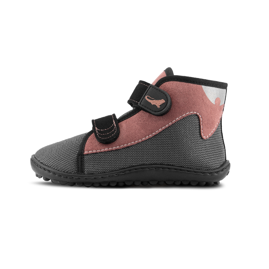 leguanito scippo rose | Klett leguanito scippo rose | Klett von Leguano