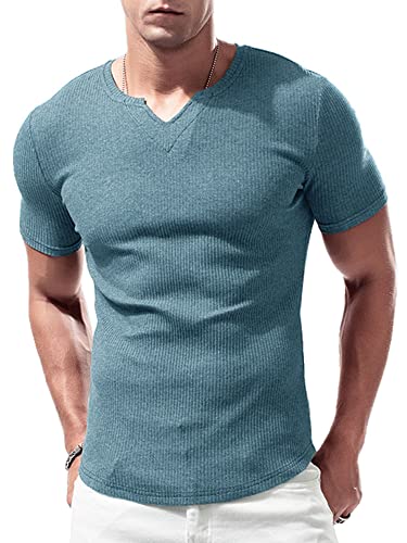 Lehmanlin Sport T-Shirts für Herren, V-Ausschnitt, Stretch, Muskulöse Passform, Lässige Unterwäsche, Thermo Shirt Herren Kurzarm Leichtgewicht Blau L von Lehmanlin