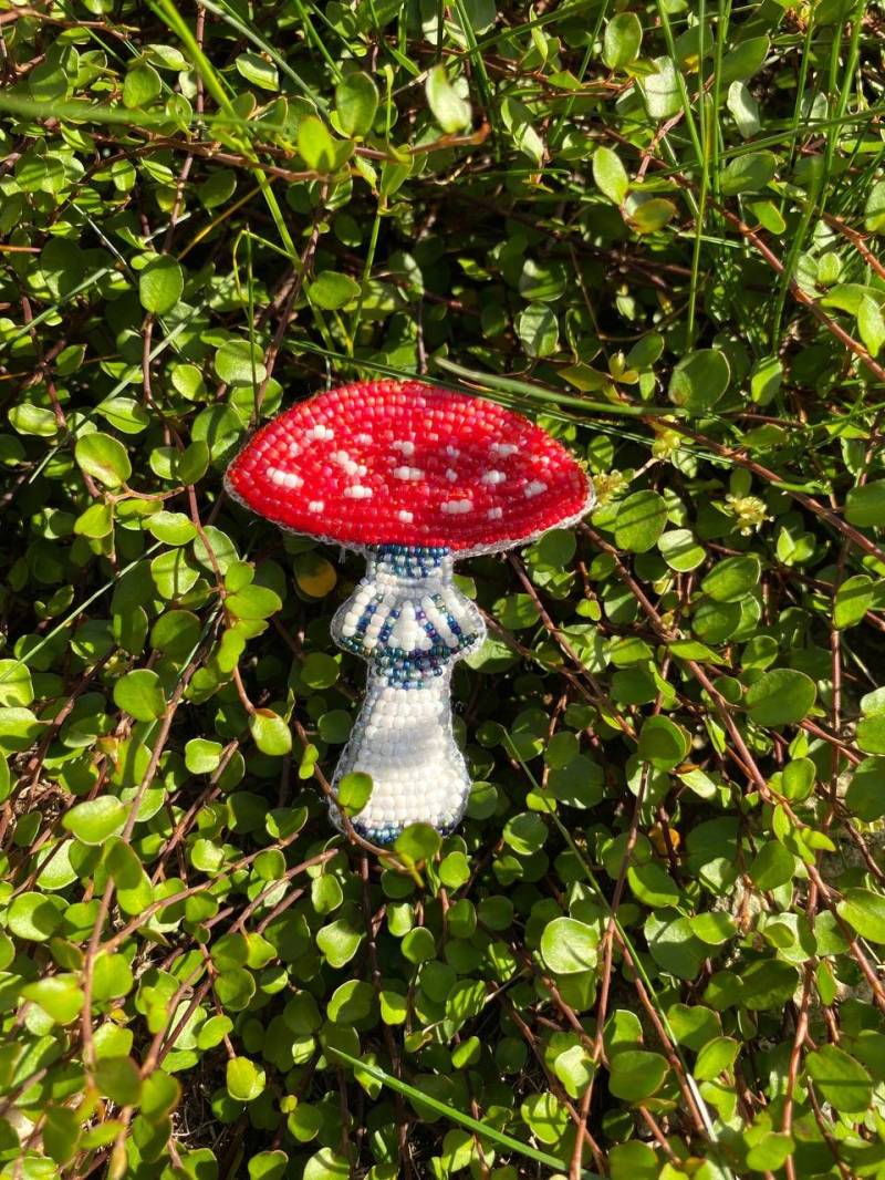 Fliegenpilz Perlenbrosche | Perlenstickerei, Handgemachter Schmuck, Pin, Geschenk Für Pilzliebhaber Fliegenpilz Perlenbrosche | Perlenstickerei, Handgemachter Schmuck, Pin, Geschenk Für Pilzliebhaber von LeiSolar