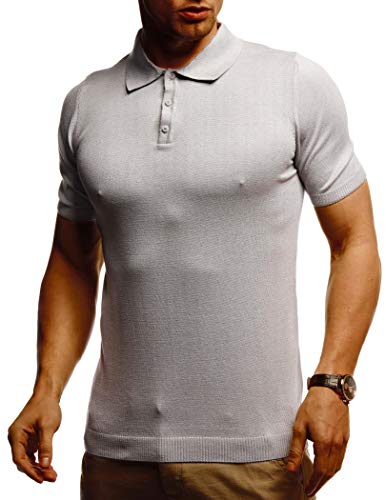 Leif Nelson Herren Sommer T-Shirt Poloshirt Slim Fit aus Feinstrick Cooles Basic Männer Polo Shirts Crew Neck Jungen Kurzarmshirt Sommershirt Sweater Kurzarm LN7400 Hell Grau Large von Leif Nelson