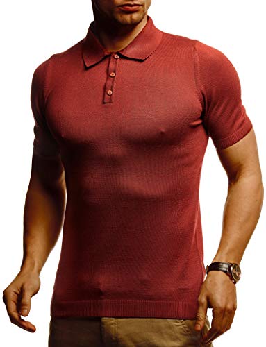 Leif Nelson Herren Sommer T-Shirt Poloshirt Slim Fit aus Feinstrick Cooles Basic Männer Polo Shirts crew Neck Jungen Kurzarmshirt Sommershirt Sweater kurzarm LN7400 Rot Braun Large von Leif Nelson