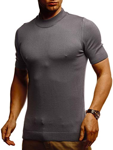 Leif Nelson Herren Sommer T-Shirt Rundhals Ausschnitt Slim Fit aus Feinstrick Cooles Basic Männer T-Shirt Crew Neck Jungen Kurzarmshirt O-Neck Sweater Shirt Kurzarm Lang LN7430 Dunkel Grau Large von Leif Nelson