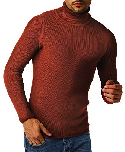 Leif Nelson Herren Strickpullover Warmer Pullover mit Rollkragen Rollkragenpullover Männer Pulli für Winter Feinstrickpullover Slim Fit Longsleeve Langarm Crew Neck LN2010 L Rot-Braun von Leif Nelson