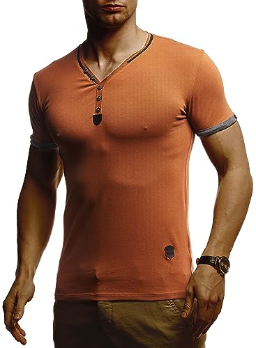 Leif Nelson Sommer T-Shirt Herren V-Ausschnitt (Braun Grau, Größe M) - Coole Tshirts lang V-Neck Baumwolle - Casual Basic Shirts Männer Kurzarm von Leif Nelson