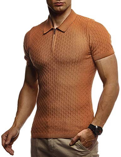 Leif Nelson Sommer Poloshirt Kurzarm Herren T-Shirt Kragen (Braun, Größe S) - Casual Männer Poloshirts lang Feinstrick - Polo Shirt for Men Tshirt von Leif Nelson