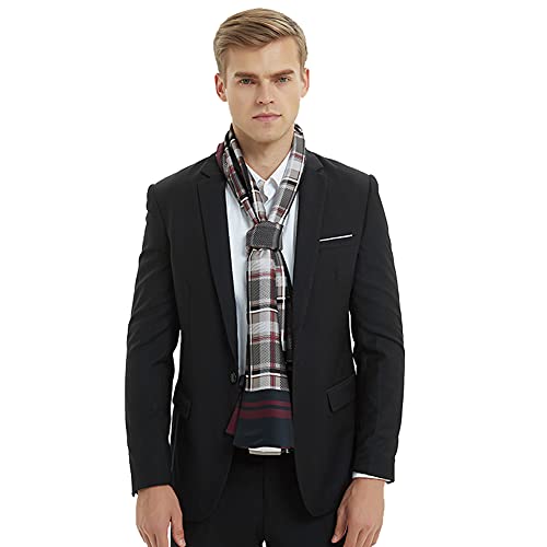 Leisofter Herren Schals Luxus Seidenschal für Herren, Herren Wickelschal für Business Wear Geschenk, Langes Halstuch für Winter, Frühling, Herbst von Leisofter