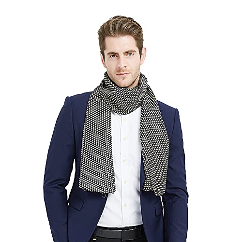 Leisofter Herren Schals Luxus Seidenschal für Herren, Herren Wickelschal für Business Wear Geschenk, Langes Halstuch für Winter, Frühling, Herbst von Leisofter