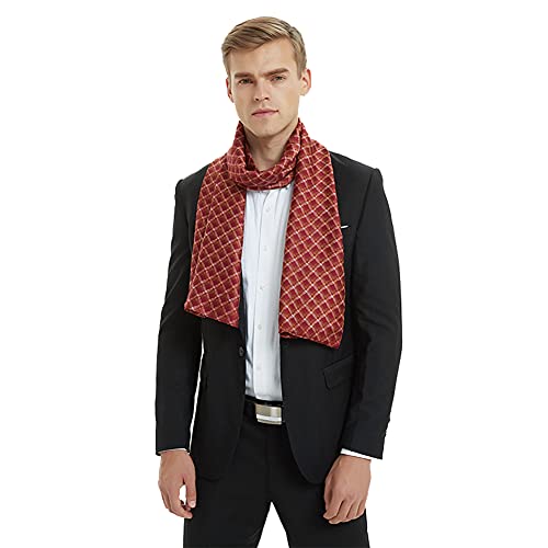 Leisofter Herren Schals Luxus Seidenschal für Herren, Herren Wickelschal für Business Wear Geschenk, Langes Halstuch für Winter, Frühling, Herbst von Leisofter